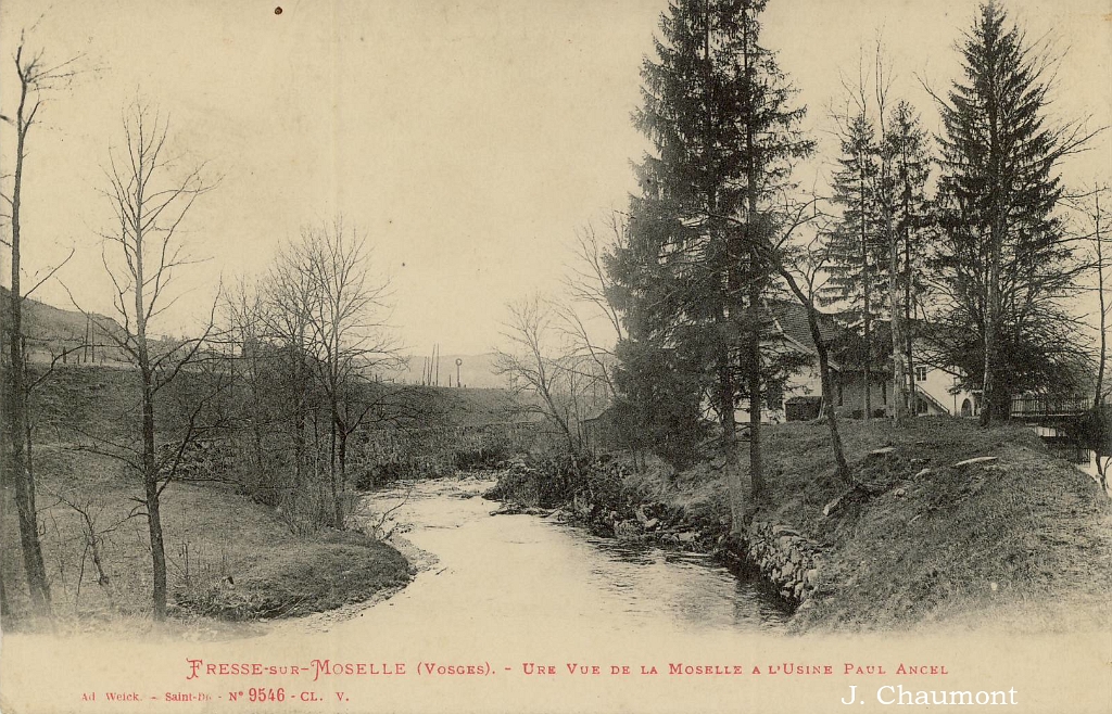 Fresse-sur-Moselle. - Une Vue de la Moselle à l'Usine Paul Ancel.jpg